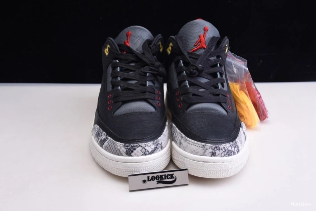 Rep TBkick Air Jordan SE Retro Instinct 2.0 CV3583-003 3 - Animal 0707